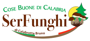 2Logo-Serfunghi