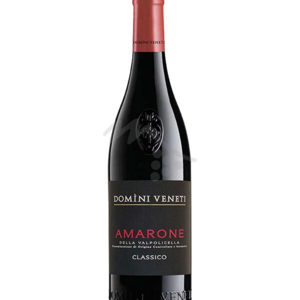 AMARONE CLASSICO - CANTINA DOMINI VENETI