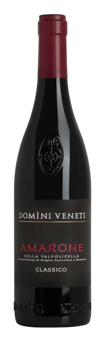 VALPOLICELLA CLASSICO SUPERIORE - CANTINA DOMINI VENETI