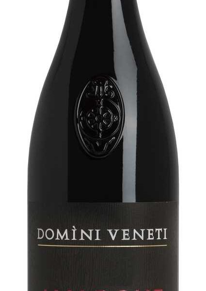 AMARONE DELLA VALPOLICELLA CLASSICO - CANTINA DOMINI VENETI