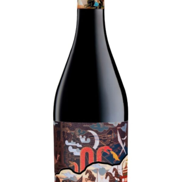 APPASSIMENTO 1,5 L - CANTINA DOMINI VENETI