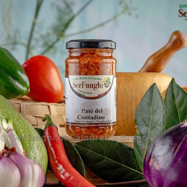 PATE’ DEL CONTADINO – SERFUNGHI