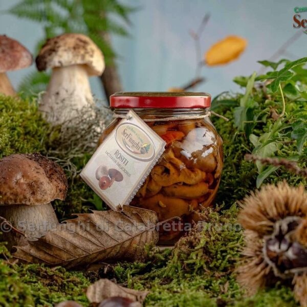 ROSITI – SERFUNGHI