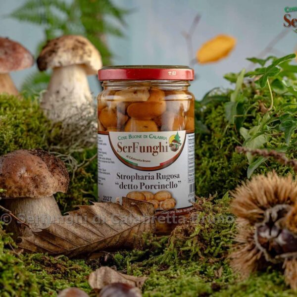 STROPHARIA RUGOSA DETTO PORCINELLO – SERFUNGHI