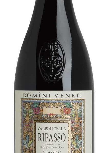 VALPOLICELLA RIPASSO CLASSICO SUPERIORE - CANTINA DOMINI VENETI