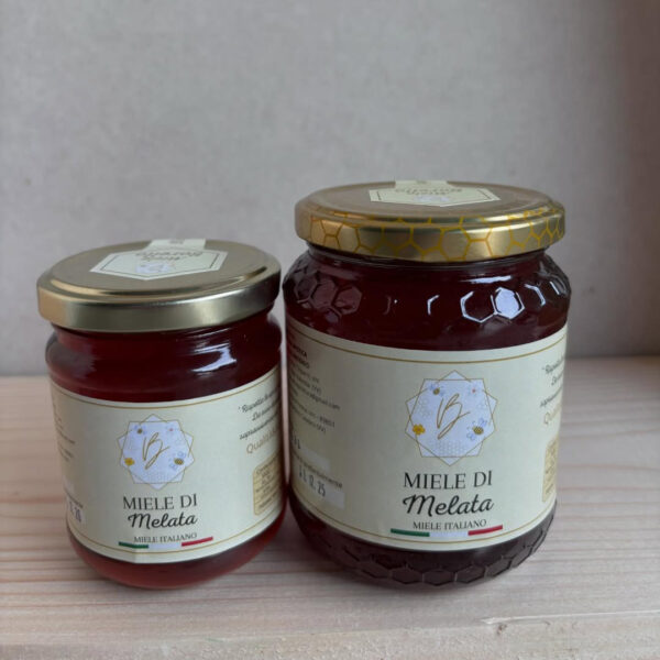 MELATA 250GR - MIELE BORELLO